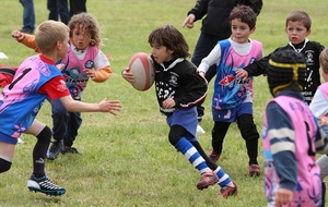 Réunion de la Commission des Écoles de Rugby